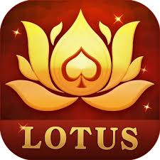 teen patti chicken road game download download